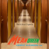 Mean Green Carpet Cleaners image 4